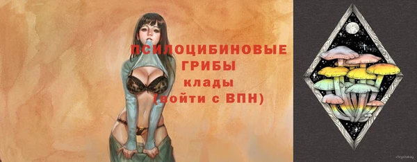 индика Богородск