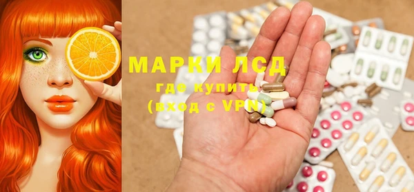 индика Богородск