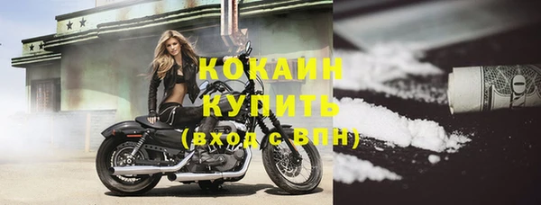 индика Богородск