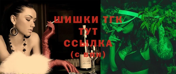 индика Богородск