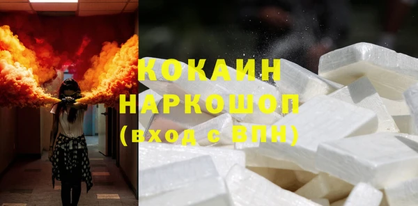индика Богородск