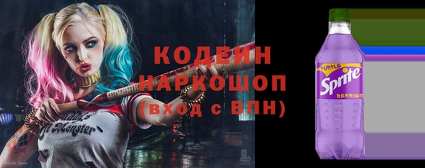 индика Богородск