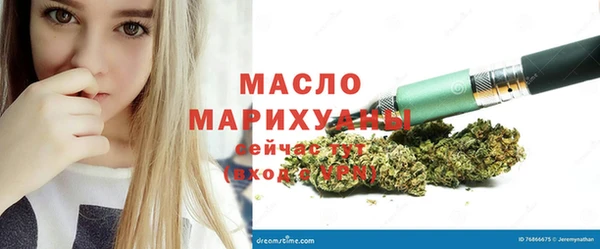 индика Богородск