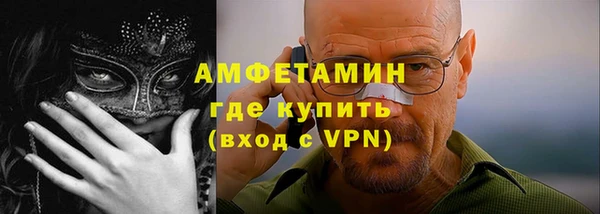 индика Богородск