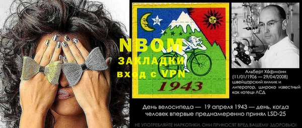 индика Богородск