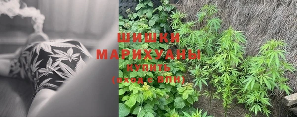 экстази Богданович