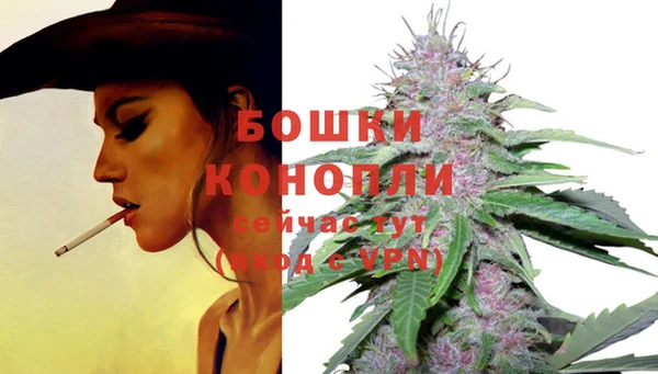 экстази Богданович
