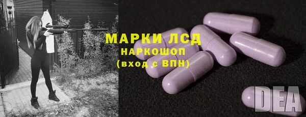 индика Богородск