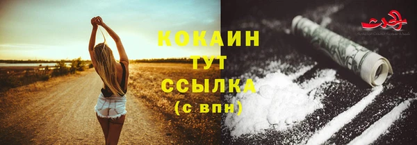 экстази Богданович