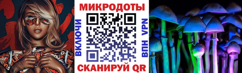 закладка Волжск Галлюциногенные грибы GOLDEN TEACHER